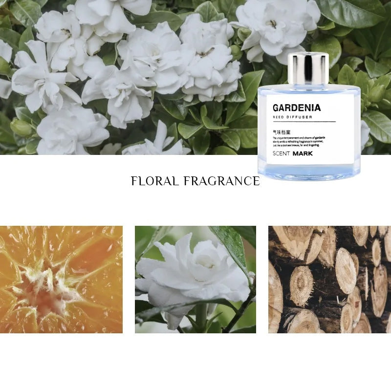Ensemble de diffuseur de roseaux de luxe 50ML avec huiles essentielles – Parfums de lavande, rose, jasmin, désodorisant d'air d'aromathérapie pour hôtel et maison, parfum longue durée, bouteille en verre élégante