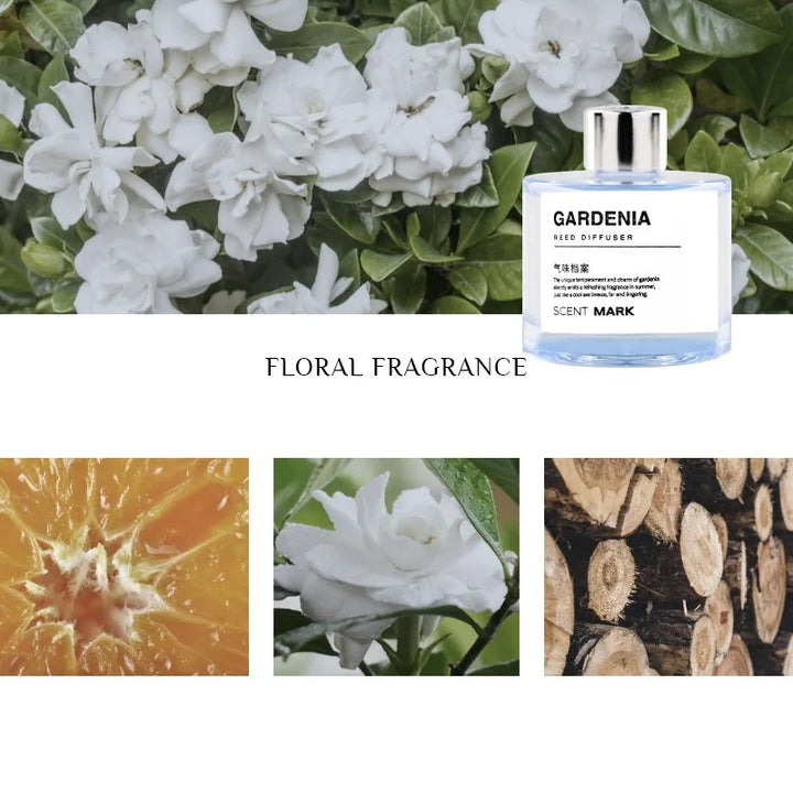 Ensemble de diffuseur de roseaux de luxe 50ML avec huiles essentielles – Parfums de lavande, rose, jasmin, désodorisant d'air d'aromathérapie pour hôtel et maison, parfum longue durée, bouteille en verre élégante